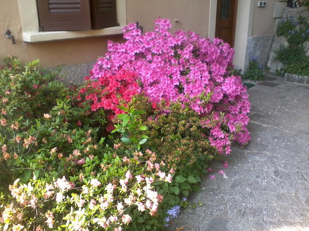 Casa Margherita Como Dış mekan fotoğraf